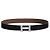 Hermès Reversible Buckle Black Chocolate Silver Matte Men's Leather Belt Silvery