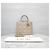 Book Tote Dior Borsa Tote Leather Book Small Beige Polvere Marrone - vista 9