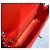 Chanel Borsa Mini Flap Classic in agnello Rosso/Argento Crossbody - vista 7