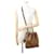 Noe Borsa a tracolla Louis Vuitton Monogram Reverse Beige - vista 5