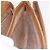 Borsa a tracolla GUCCI Micro GG Supreme PVC Beige Oro 001 406 1780 Auth BA14455 D'oro - vista 19