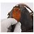 LOUIS VUITTON Bolsa de Ombro Monogram Totally GM M56690 LV Auth 192184 Monograma - vista 19