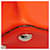 Borsa Louis Vuitton Capucines BB Rosso - vista 11