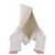 Givenchy Busta d'invito Beige - vista 4