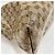 Borsa a tracolla Gucci beige - vista 8