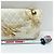 Borsa a Spalla Chanel Matelassé 25 Double Flap Bianco - vista 5