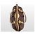 Etro Brauner Paisley-Canvas-Tote-Beutel, Medium - Ansicht 15