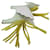 Hermès Hermes Rodeo Pegasus PM Handbag Charm White Golden  - view 5
