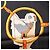 Hermès Sciarpa in seta Carré 90 Les Parisiens Hermes Nero Multicolore - vista 9