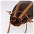 Céline Borsa a tracolla CELINE Macadam Canvas PVC Pelle Marrone Oro Auth bs36063 D'oro - vista 6