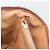 Céline Borsa Tote CELINE Macadam in PVC e pelle marrone con finiture dorate Auth 192720 - vista 20