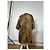 Cappotto vintage Givenchy in misto seta con stampa leopardata giallo e marrone L - vista 15