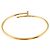Bracciale Cartier Juste un Clou Small SM #17 - view 4