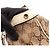 Borsa Tote Gucci GG Canvas Bianco Beige - vista 16