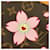 Louis Vuitton Monogram Cherry Blossom Pochette Accessoires Marrone Monogramma - vista 5