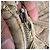 Pantaloni Cargo Ralph Lauren in cotone color Tan Marrone Beige - vista 9