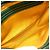 Borsa a Spalla Goyard Cup Vert PM Star Print Verde - vista 5