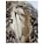 Borsa Prada in pelle marrone e shearling  - vista 6