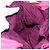 Borsa a tracolla LOEWE Flamenco in pelle rosa argento Auth 192107A - vista 23