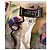 Abito Gianni Versace Couture Mesh Floreale Rosa Bianco Blu Multicolore Verde - vista 6