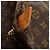 Borsa Boston Louis Vuitton Monogram Keepall 55 Marrone - vista 8
