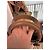 Christian Dior Bolso Tote Large Lady Dior Beige - vista 14