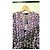 Maje Majorelle Maxikleid mit Volants - Violett Mehrfarben Lila - Ansicht 6