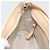 Borsa a tracolla BURBERRY Canvas Bianco Argento Auth ep15254 - vista 19