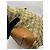 Gucci GG Canvas Web Sherry Line Borsa Tote Marrone Beige - vista 5