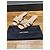 Saint Laurent Sandali Tribute Nu Pieds in vernice Beige - vista 8