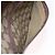 Borsa Tote GUCCI GG Supreme Web Sherry Line in PVC e pelle Beige Auth bs36101 - vista 12