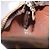 LOUIS VUITTON Monogram Pochette Cles Monedero M62650 LV Auth 192032 Monograma - vista 18