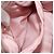 Borsa a mano PRADA Ribbon Nylon 2way Rosa Tonalità Oro Auth 191720SM - vista 24