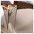 Louis Vuitton Lexington Pochette Monogram Vernis Beige - vista 7
