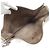 Hermès Borsa a tracolla Hermes Evelyne 2 PM Taupe - vista 8