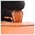 Hermès Borsa Hermes Mini Plume 20 Brick Marrone - vista 5