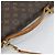 LOUIS VUITTON Borsa a Spalla Monogram Beverly MM M40121 LV Auth hk3974 Monogramma - vista 7