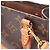 Borsa a 2 vie Louis Vuitton Petite Sac Plat Monogram Marrone Monogramma - vista 7