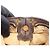 Borsa a tracolla Louis Vuitton Looping GM Monogram Marrone Monogramma - vista 10