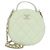 Chanel AP2502 Light Green Shoulder Bag