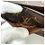 Louis Vuitton Monogram Long Wallet Braun Monogramm - Ansicht 17