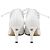 Mule con tacco alto con lacci in pelle bianca Versace Bianco Crudo - vista 5