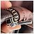 Autre Marque Giacca con zip Nour Hammour in pelle di agnello marrone - vista 8