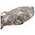 Marsupio per bambini Gucci GG Supreme Beige - vista 5