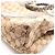 Borsa Tote Gucci Bamboo GG Canvas Beige Cachi - vista 6