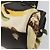 Céline Borsa CELINE in tela, oro, autentica 192711A Giallo - vista 12