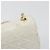 CHANEL Matelasse Chain Shoulder Bag Lamb Skin White Gold CC Auth 193136 Bianco D'oro - vista 14