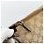 Borsa a Spalla GUCCI GG Canvas Beige Oro 145857 Auth BA14114 D'oro - vista 14