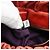 Borsa a mano Miu Miu Side Ribbon in pelle 2way Orange Gold Auth am12203V D'oro Arancione - vista 22