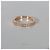 Love Cartier Maillon Panthère Ring aus Roségold und Diamanten - Ansicht 5